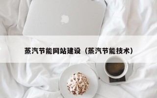 四川蒸汽节能网站建设（蒸汽节能技术）